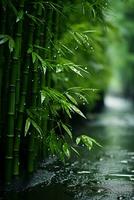 brumoso y lluvioso, bambú bosque. ai generativo foto
