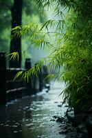 Foggy and rainy, bamboo forest. AI generative photo