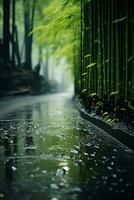 Foggy and rainy, bamboo forest. AI generative photo