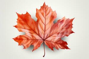 Autumn colored fall leaf isolated on transparent background overlay texture. AI generative photo