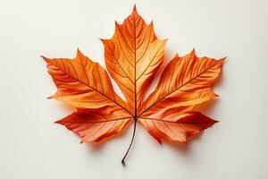 Autumn colored fall leaf isolated on transparent background overlay texture. AI generative photo