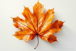 Autumn colored fall leaf isolated on transparent background overlay texture. AI generative photo