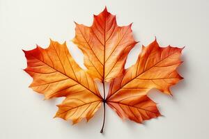 Autumn colored fall leaf isolated on transparent background overlay texture. AI generative photo