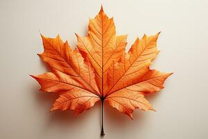 Autumn colored fall leaf isolated on transparent background overlay texture. AI generative photo