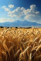 Clear sky, rolling mountains, golden wheat fields. AI generative photo