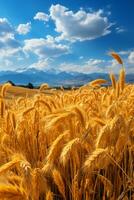 Clear sky, rolling mountains, golden wheat fields. AI generative photo