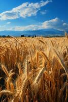 claro cielo, laminación montañas, dorado trigo campos. ai generativo foto