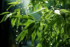 el verde bambú es balanceo en el viento. ai generativo foto