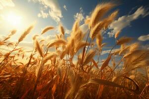 A golden wheat field, rice swaying in the wind, paramount light, Surrealism. AI generative photo