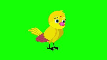 amarelo pássaro em pé verde tela vídeo video