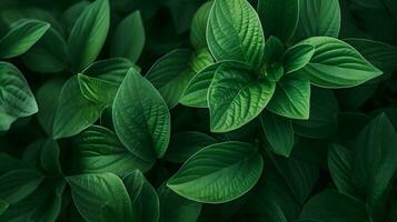 Miniature Green Universe - Leaf Photography, Generated AI Shot photo