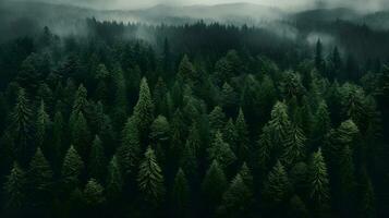 tiempo de día bosque tapiz - generado ai aéreo capturar foto