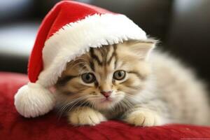 Cute cat in santa claus hat, christmas holiday concept. Generative AI photo