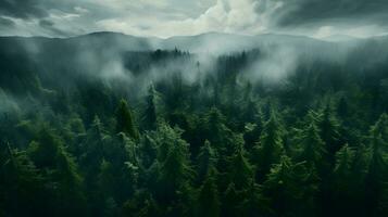 High Above Illuminated Woodland - Generated AI Photograph photo