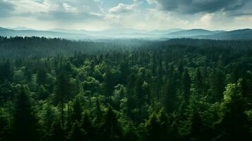 Forest Canopy from Above - Generated AI Photography photo