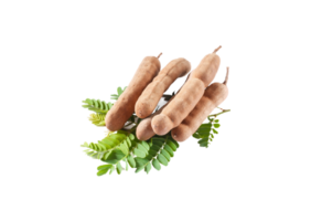 tamarind png transparent bakgrund