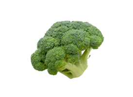broccoli PNG transparant achtergrond