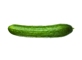 Pepino png transparente antecedentes