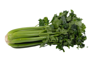 celery png transparent background