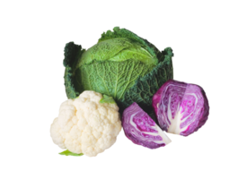 cabbage png transparent background