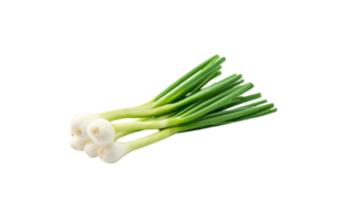 onion png transparent background