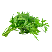 celery png transparent background