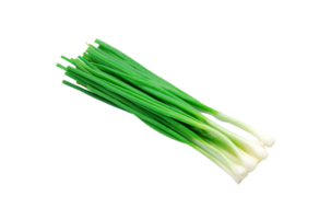 onion png transparent background