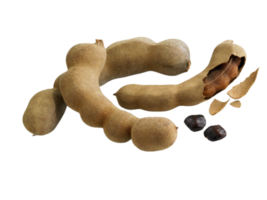 Tamarind png transparent background