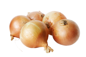 onion png transparent background