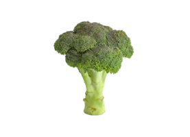 Broccoli png transparent background