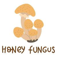 Colorful wild edible honey fungus with cartoon-style names. Isolated vector flat illustration. Honeydew mushroom. Edible mushrooms in forests in groups of large and small with beige caps, growing