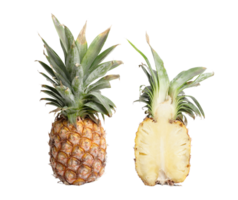 ananas PNG transparant achtergrond