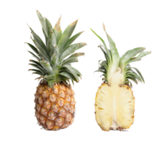 ananas png transparent Contexte