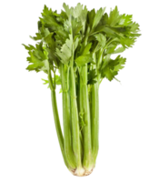 celery png transparent background