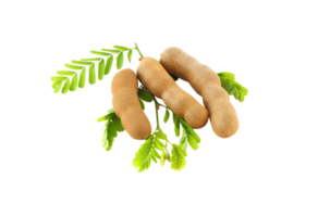 Tamarind png transparent background