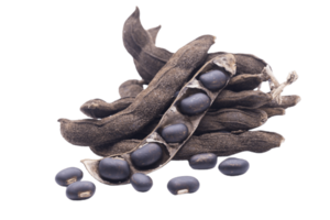 Tamarind png transparent background