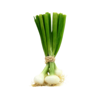 onion png transparent background