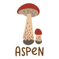 Colorful wild edible aspen with cartoon-style names. Isolated vector flat illustration. Aspen mushroom. Edible mushrooms in forests big and small with bright caps and stripes on the trunk, growing