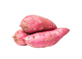 zoet aardappel PNG transparant achtergrond