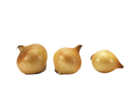 onion png transparent background