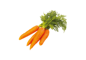 carrot png transparent background