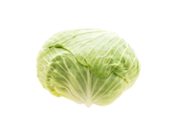 cabbage png transparent background