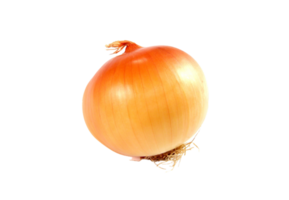 onion png transparent background