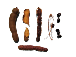 Tamarind png transparent background