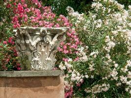 the city of Rome in italy photo