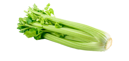 spinach png transparent background