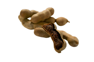 tamarind png transparent bakgrund