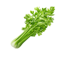 celery png transparent background