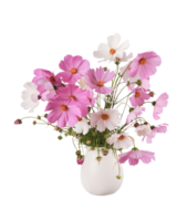 Kosmos Blume png transparent Hintergrund