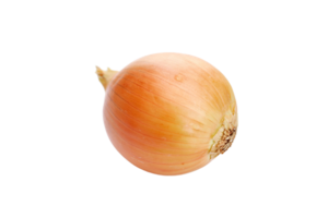 cebola png transparente fundo